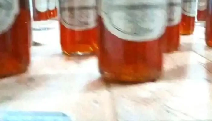 Made In Roca Variedades Videos - Quatis