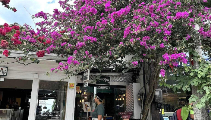 Mazu Buzios Interior - Búzios