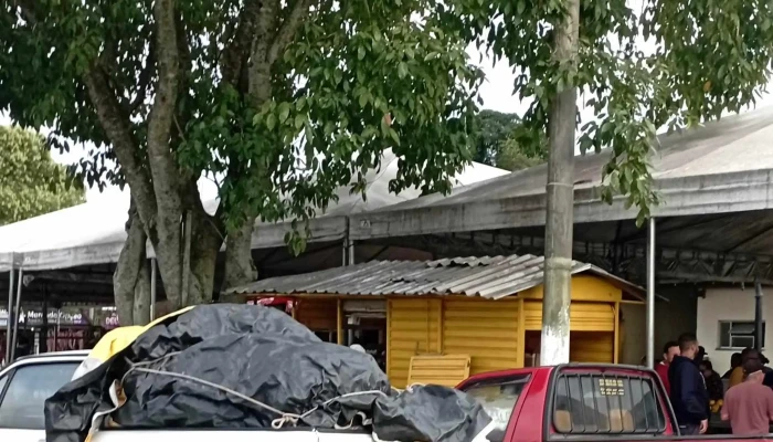 Mercado Municipal De Rio Bonito -  Instagram - Rio Bonito