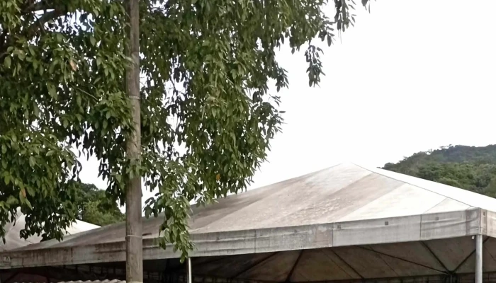 Mercado Municipal De Rio Bonito -  Site - Rio Bonito