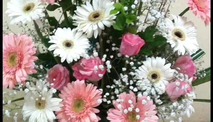Milena Flores -  Floricultura - Carmo