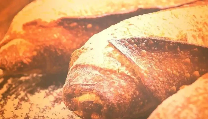 Panini Panificacao Gastronomia - Conceição De Macabu