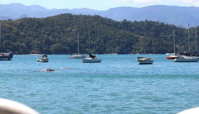 Paraty Nautica Opinioes - Paraty