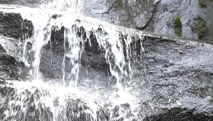 Parque Da Cidade -    Cachoeiras De Macacu Pontuacao - Cachoeiras De Macacu