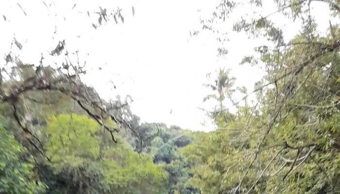 Parque Da Cidade -    Cachoeiras De Macacu Zona - Cachoeiras De Macacu