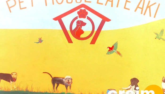 Pet House Late Aki -  Cachorro - Porto Real