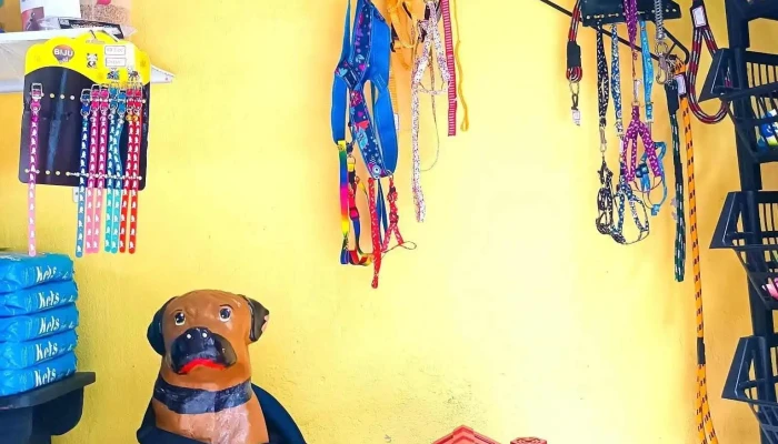 Pet House Late Aki -  Tudo - Porto Real