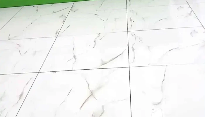 Posto Petrobras -  Videos - Duas Barras