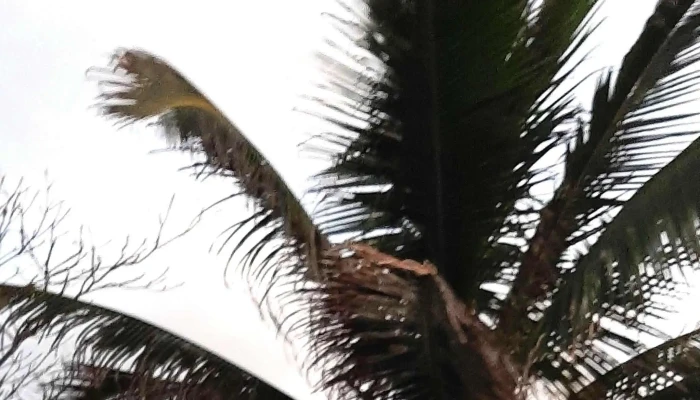 Praia De Cordeirinho -  Horario - Maricá