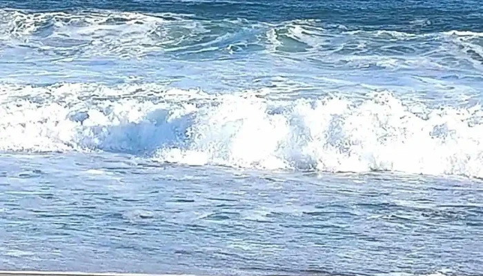 Praia De Cordeirinho -  Mais Recentes - Maricá