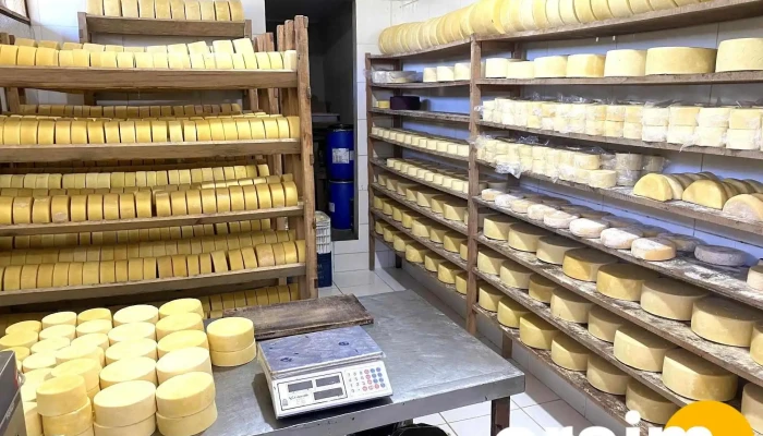 Queijo Alagoa Golden - Sn - Entre Morros