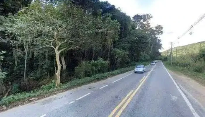 Rica Reginaves Industria E Comercio De Aves Street View E 360deg - Rio Claro