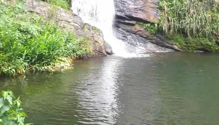Rio Claro -  Videos - Rio Claro