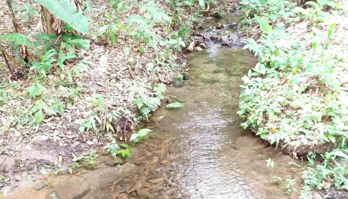 Rio Macacu -  Site - Rio De Janeiro