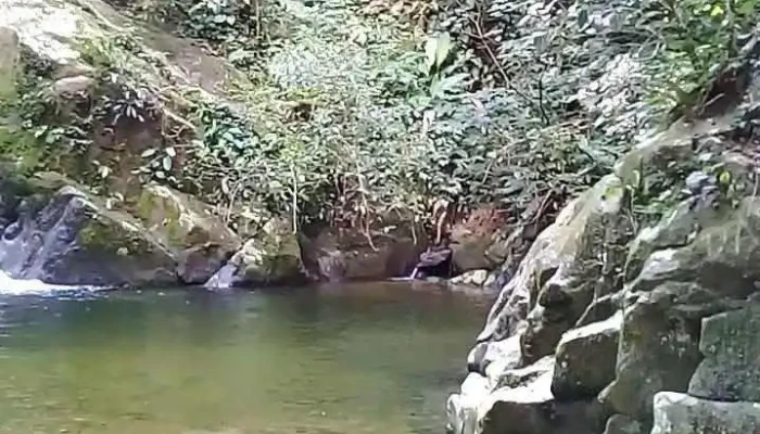 Rio Macacu -  Videos - Rio De Janeiro