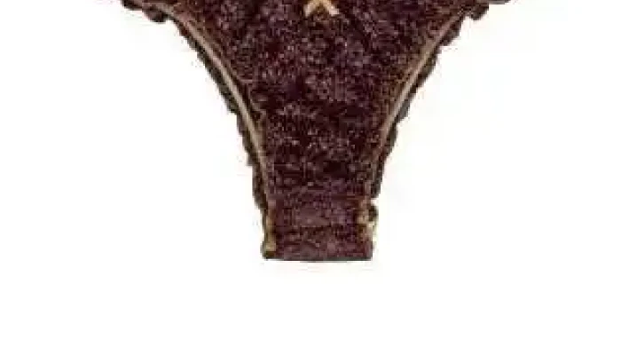 Roupa De Baixo -  Lingerie - Nova Friburgo