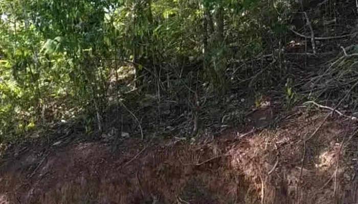 Sao Jose De Uba Videos - São José De Ubá