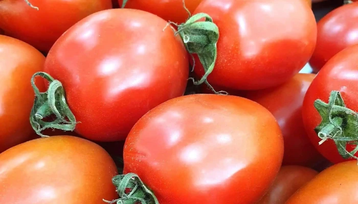 Seal Hortifruti Ltda Do Proprietario - Paty Do Alferes
