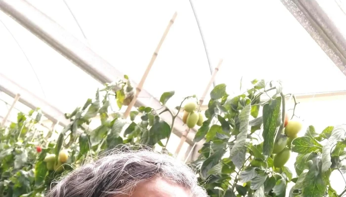 Seal Hortifruti Ltda. - Paty Do Alferes
