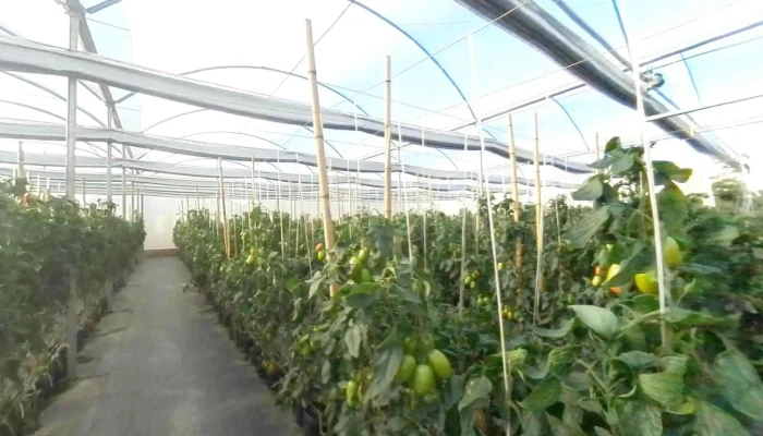 Seal Hortifruti Ltda Street View E 360deg - Paty Do Alferes