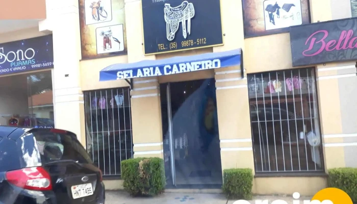 Selaria Carneiro - 505 - Borda Da Mata