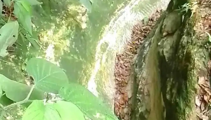 Sportrilha Rio Bonito -  Videos - Rio Bonito