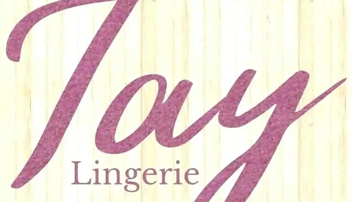 Tay Lingerie -  Do Proprietario - Nova Friburgo