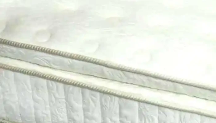 Tecnomedi Nova Iguacu Ortopedicos Saude Bem Estar Videos - Nova Iguaçu