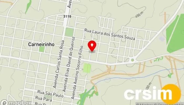 Vest Modas - - Carneirinho