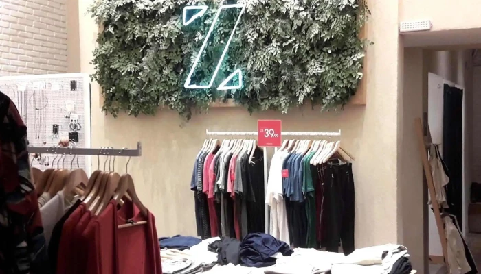 Zinzane -    Buzios Catalogo - Búzios